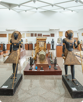 MUST MUSEUM