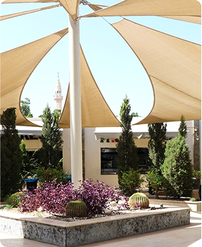 Food Services